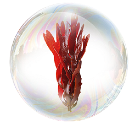 Каррагинан натрия