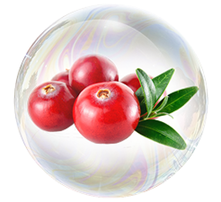 Ягода клюквы 