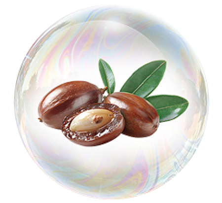 Масло жожоба