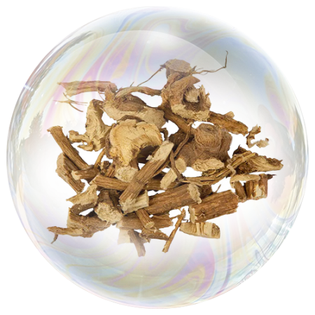 Алтей (корень)